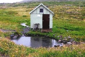 Nauteyrarlaug
